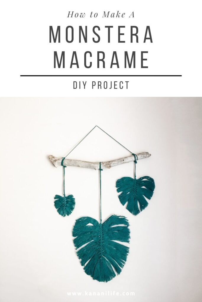 Monstera Macrame DIY Craft