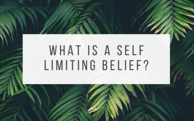 What is a Self Limiting Belief and How do I Overcome it? 
